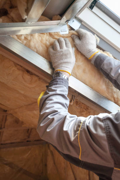 Best Insulation Maintenance and Repair in Tunnel Hill, GA