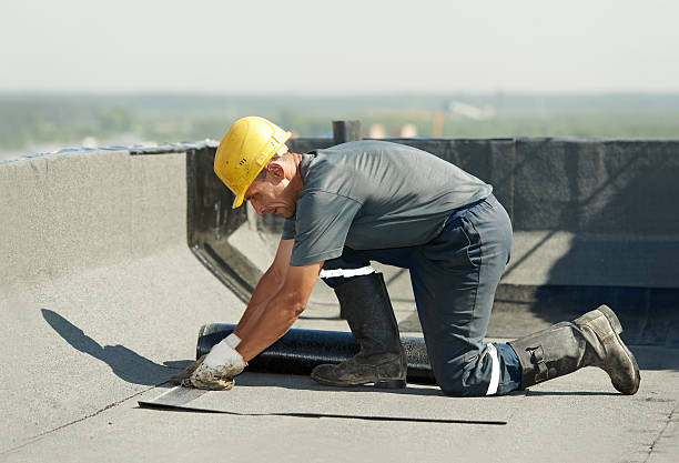 Best Geographic-Specific Insulation Services in Tunnel Hill, GA